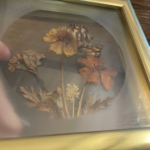 Vintage Framed Real Butterfly Taxidermy Dried  Flowers Diorama - Picture 3 of 7